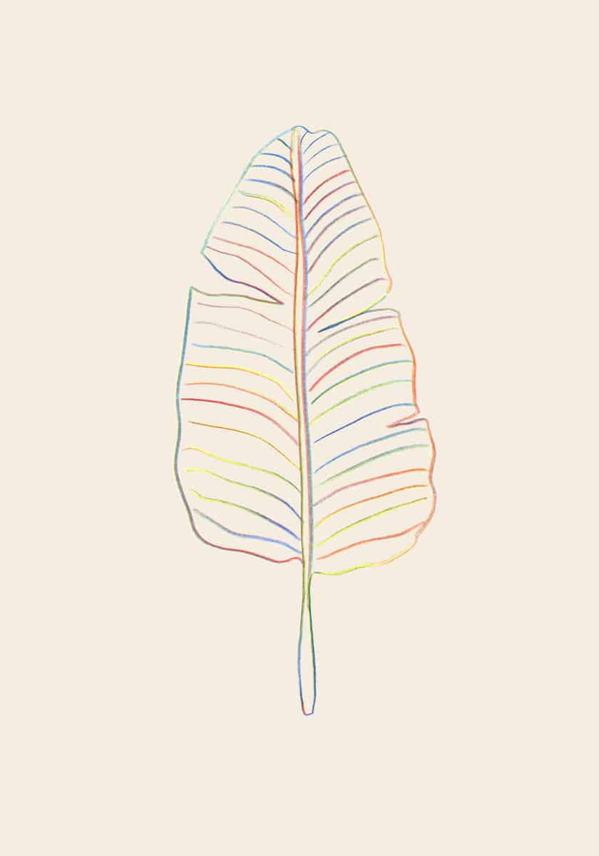 motive-image