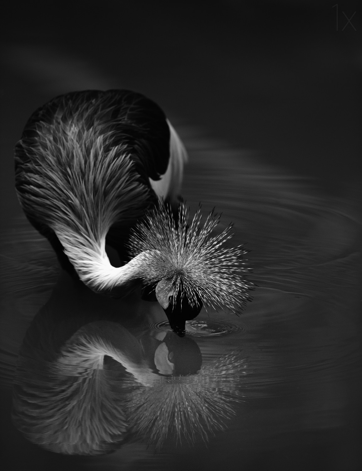motive-image
