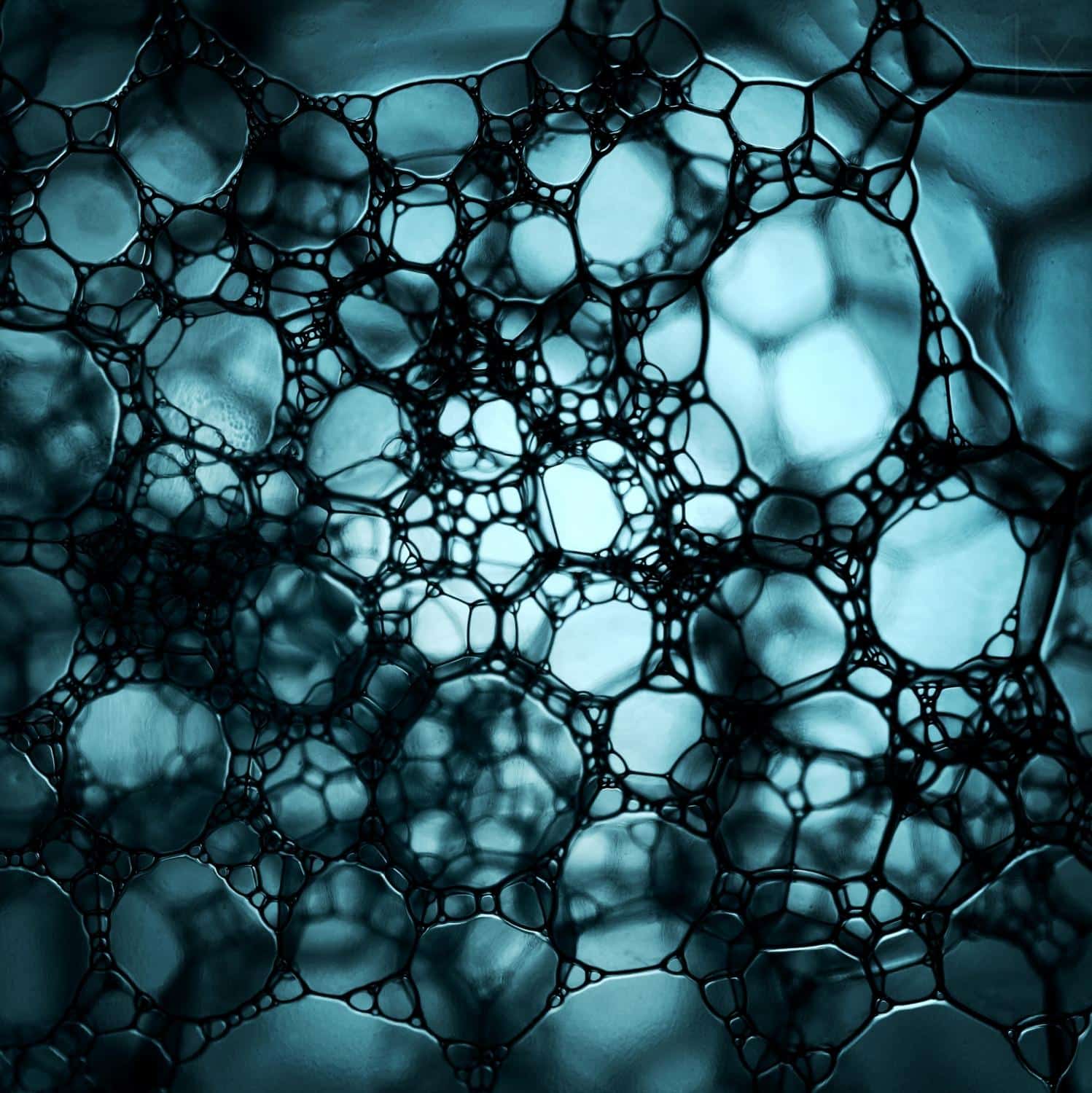 motive-image