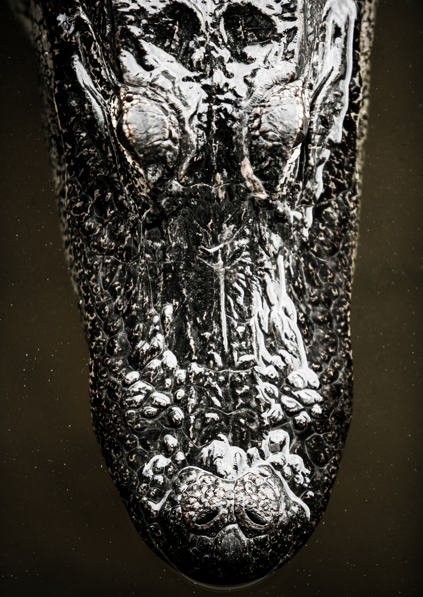 motive-image