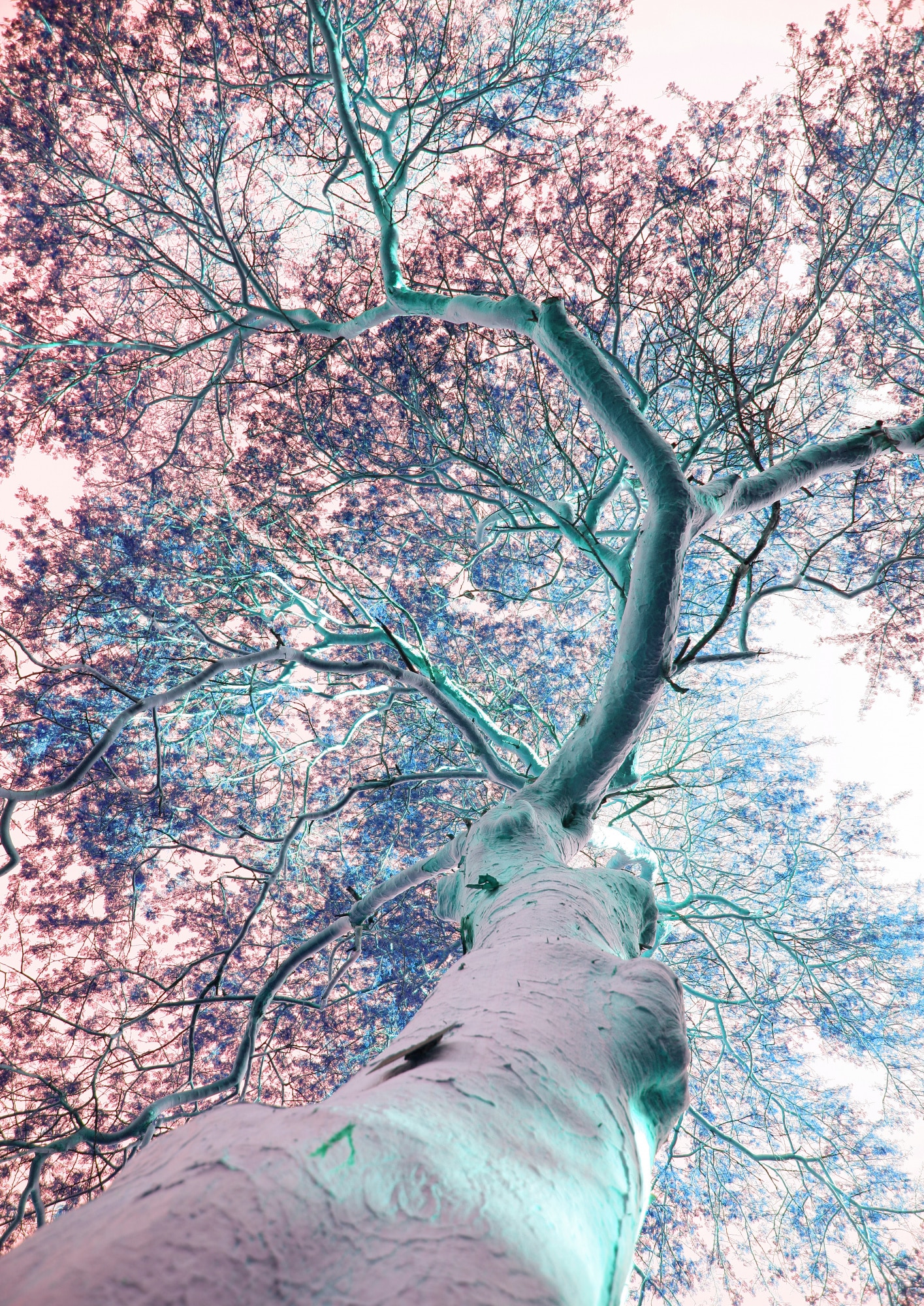 motive-image
