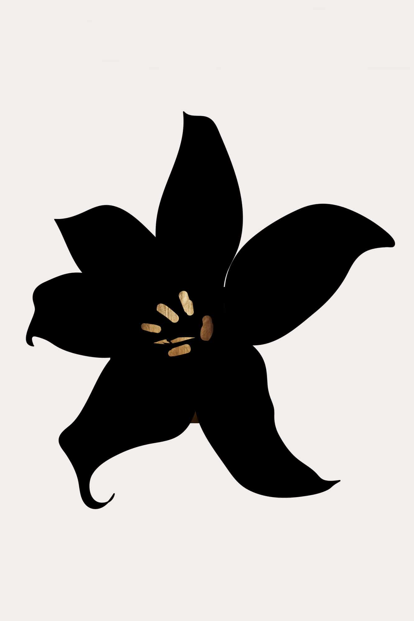 motive-image