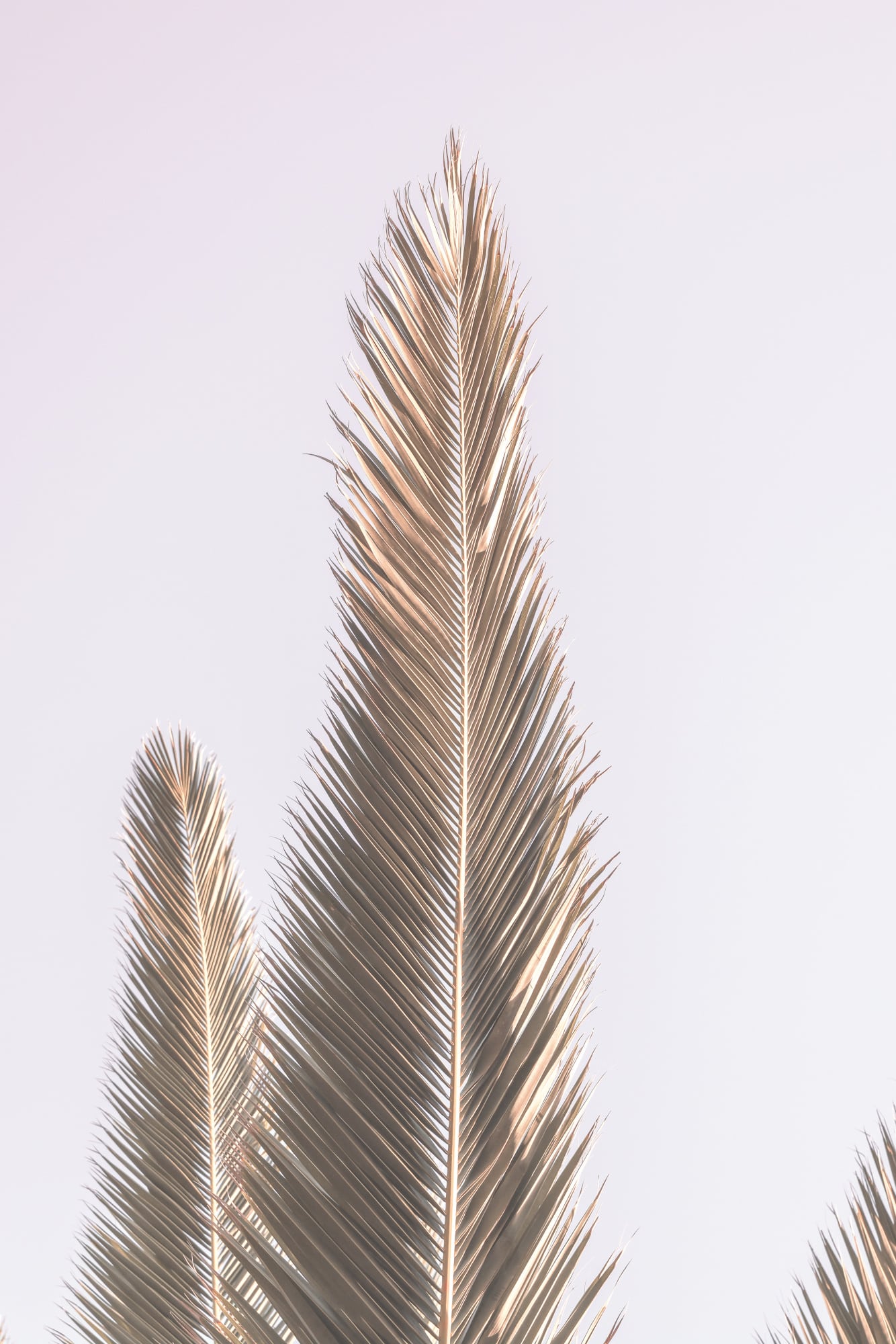 motive-image