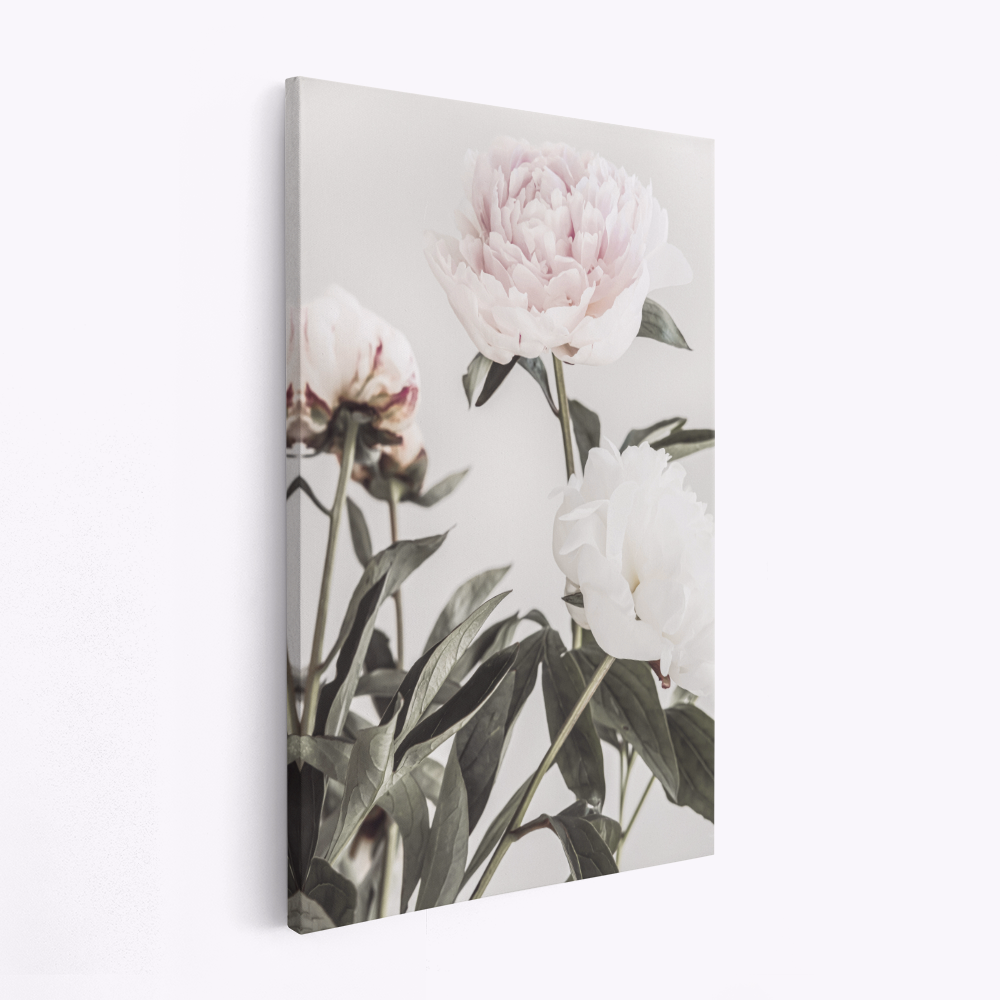 Canvas print - Peony 04