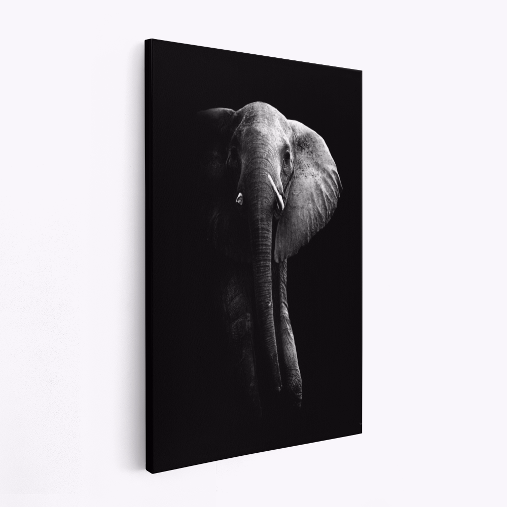 Canvas print - Elephant!