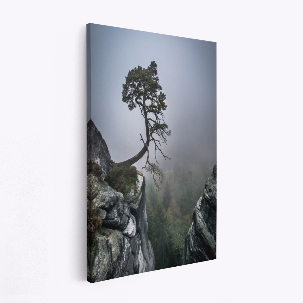 Canvas print - Against the Odds