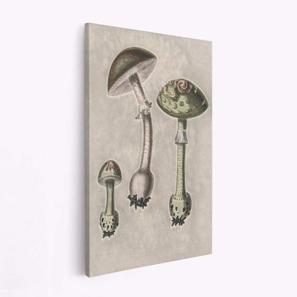 Canvas print - Amanita Muscaria Remix Green