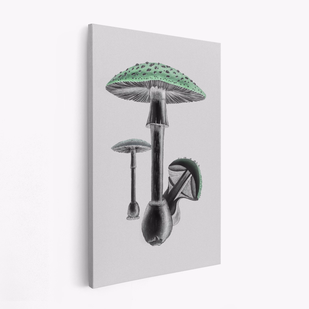 Canvas print - Amanita Muscaria White Background Green